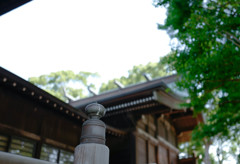 葛飾八幡宮