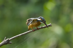 動かないでよ!!