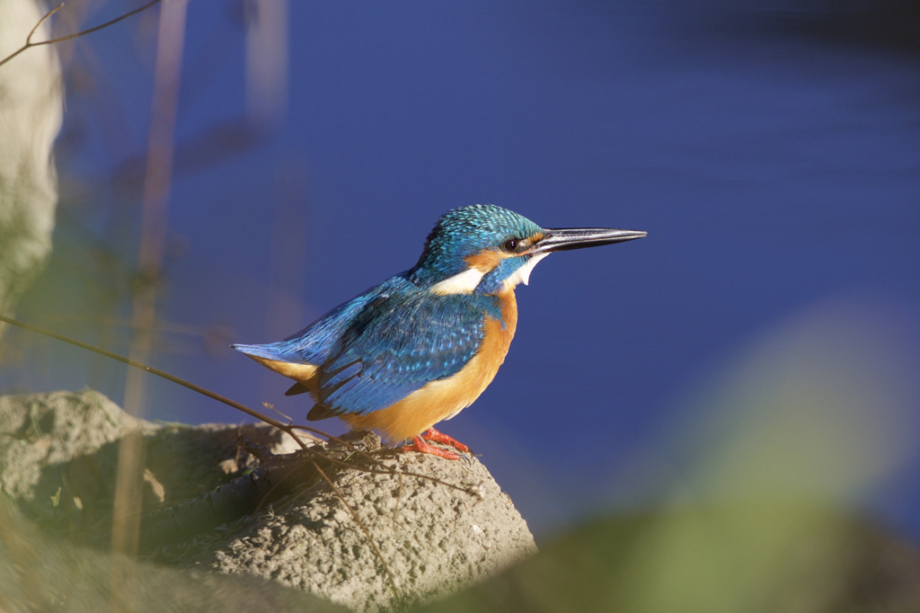 ◯◯◯の後、、