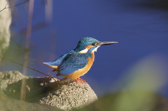 ◯◯◯の後、、