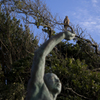 on the 鳶