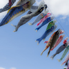 空を泳ぐ