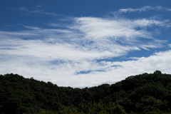 夏の空