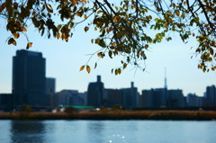 DSC04528_1