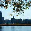 DSC04528_1