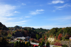 高台から
