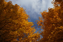 DSC04543_1