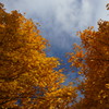 DSC04543_1