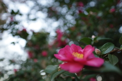 DSC04910