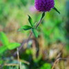 DSC04535_1