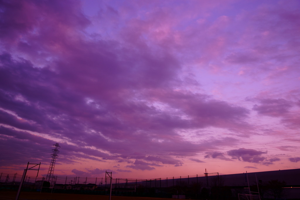 DSC04546_2