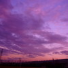 DSC04546_2
