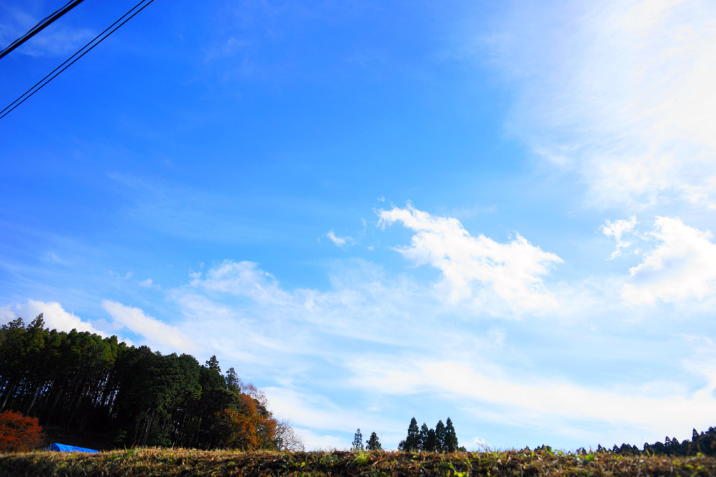 青空