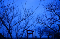 DSC05433