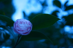 DSC04919