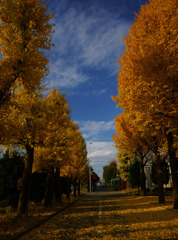 DSC04545_2