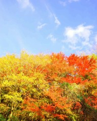 秋晴れ