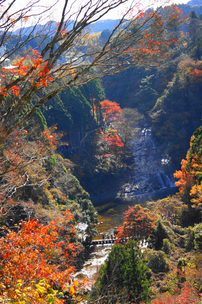 粟又の滝