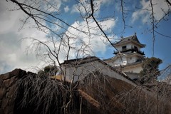 掛川城天守・・・