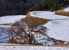 山手には雪が・・・
