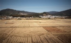井の国の城下の今・・・