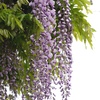 DSCF8227