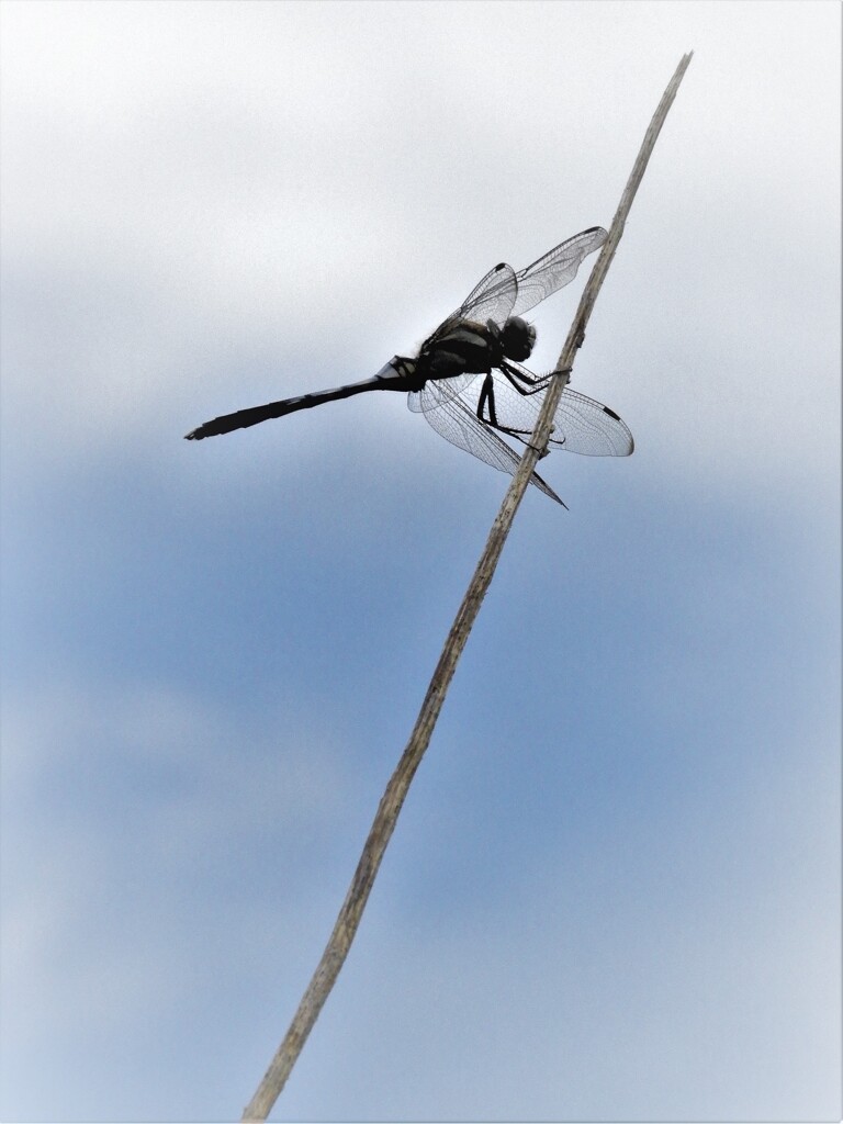 少し青空・・・