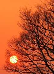 今日の夕日・・・