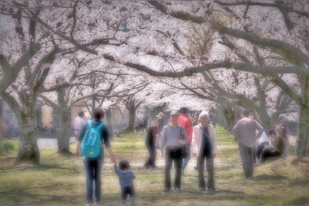 それぞれのお花見・・・
