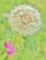 そろそろ飛びますか・・・