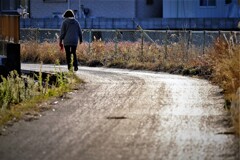 裏路・・・