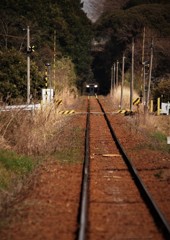 天浜線直線路・・・