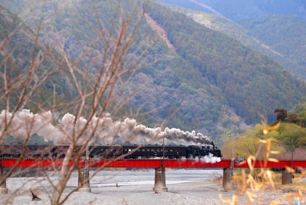 川根　笹間渡にて・・・