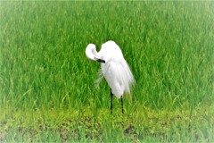 くつろぐ・・・・