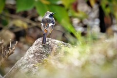 今冬　初撮りのジョビ男君・・・