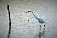 DSCF1019