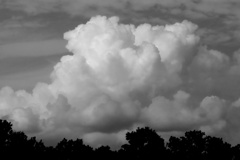 きょうの夏雲・・・