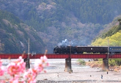 川根温泉辺り・・・