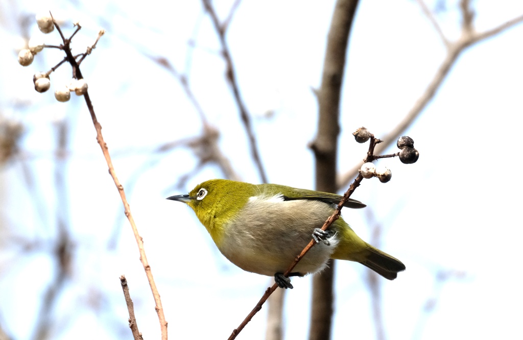 よし　次は・・・