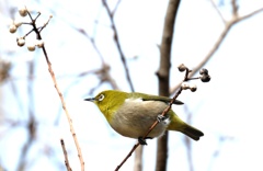 よし　次は・・・