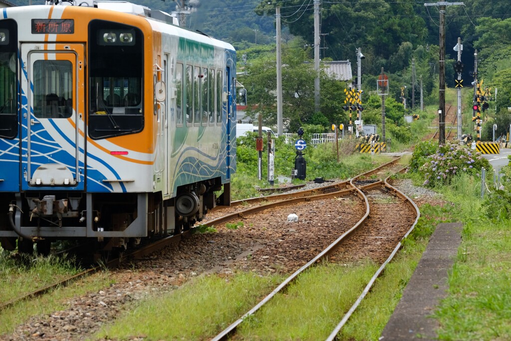 天浜線下り列車・・・