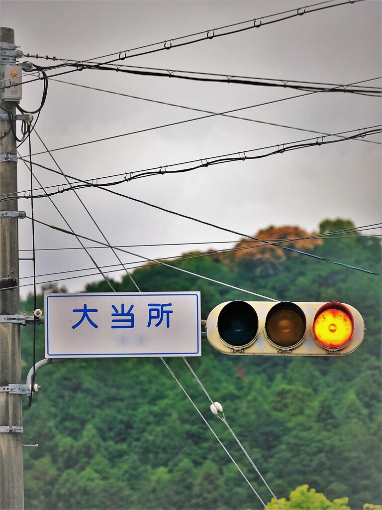 おおあたりどころ・・・