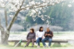 さくらを見に来た人たち・・・