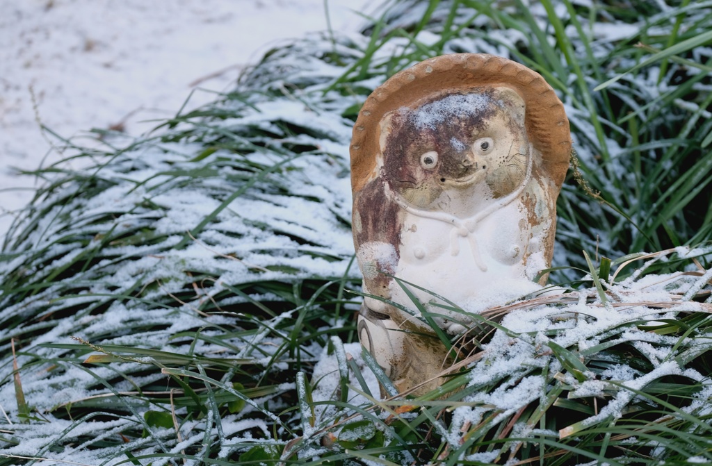 初めての雪・・・・・