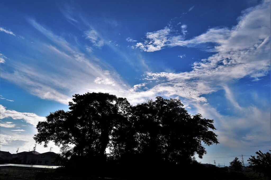 裏の秋空・・・