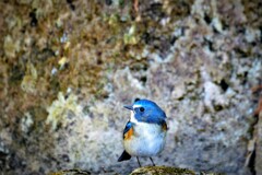 DSCF0023