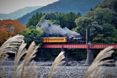 秋の川根温泉辺り・・・