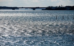 奥浜名湖・・・