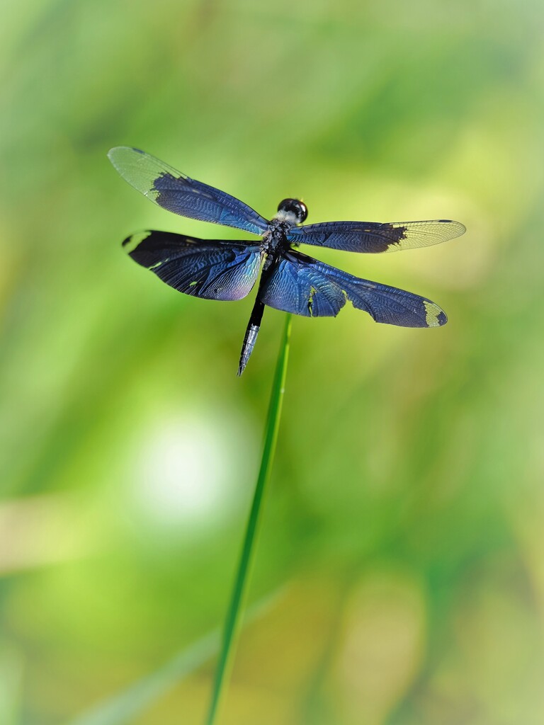 DSCF0049