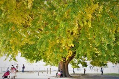 今年も早すぎた・・・